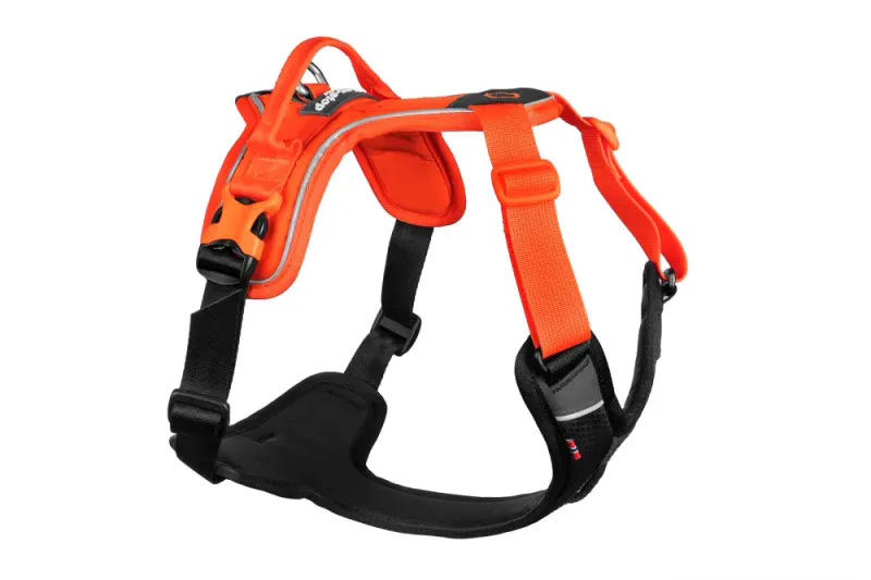 Ramble harness Orange